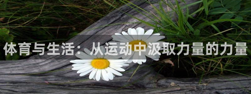 必一运动体育官网入口：体育与生活：从运动中汲取力量的力量