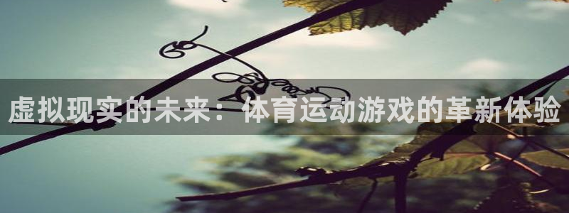 必一运动体育：虚拟现实的未来：体育运动游戏的革新体验