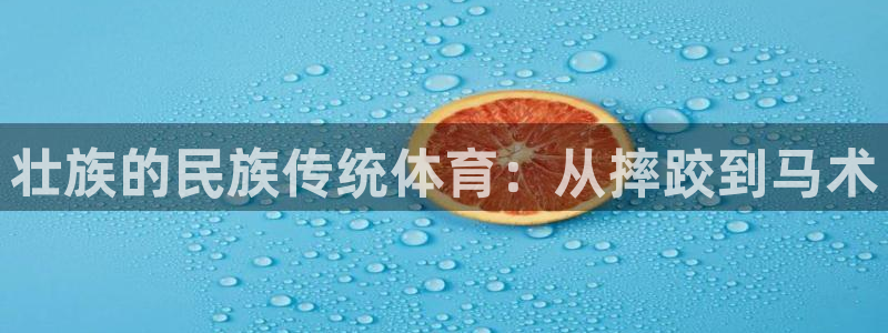 必一运动bsport体育：壮族的民族传统体育：从摔跤到马术