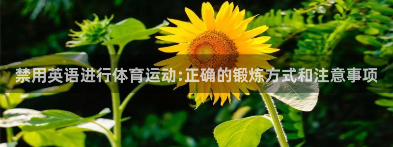 必一运动：禁用英语进行体育运动:正确的锻炼方式和注意事项