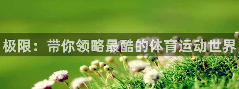 必一运动体育官网：极限：带你领略最酷的体育运动世界