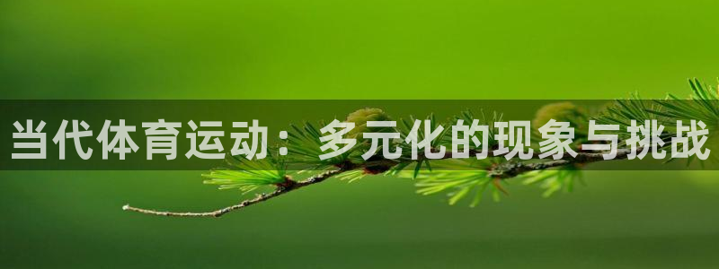 必一运动：当代体育运动：多元化的现象与挑战