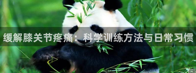 bsports必一运动：缓解膝关节疼痛：科学训练方法与日常习惯