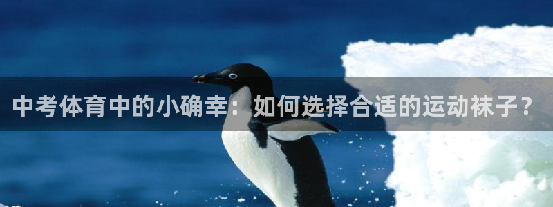 b体育必一运动官网：中考体育中的小确幸：如何选择合适的运动袜子？
