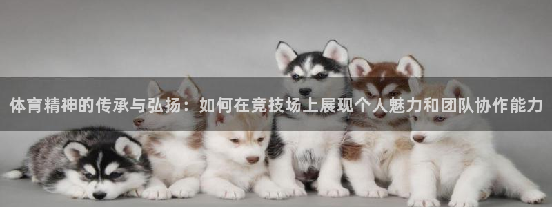 必一运动体育官网：体育精神的传承与弘扬：如何在竞技场上展现个人魅力和团队协作能力
