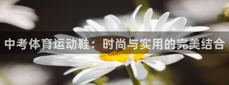 bsports必一运动：中考体育运动鞋：时尚与实用的完美结合